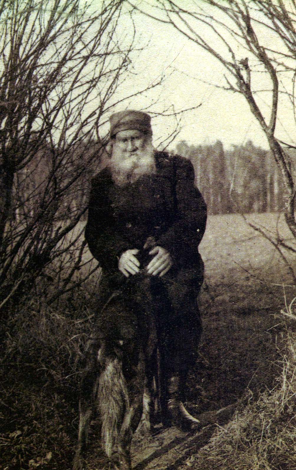 Л.Н. Толстой на прогулке (сидит на палке-стуле). Ясная поляна. Фотография В.Г. Черткова. 1908 г.
