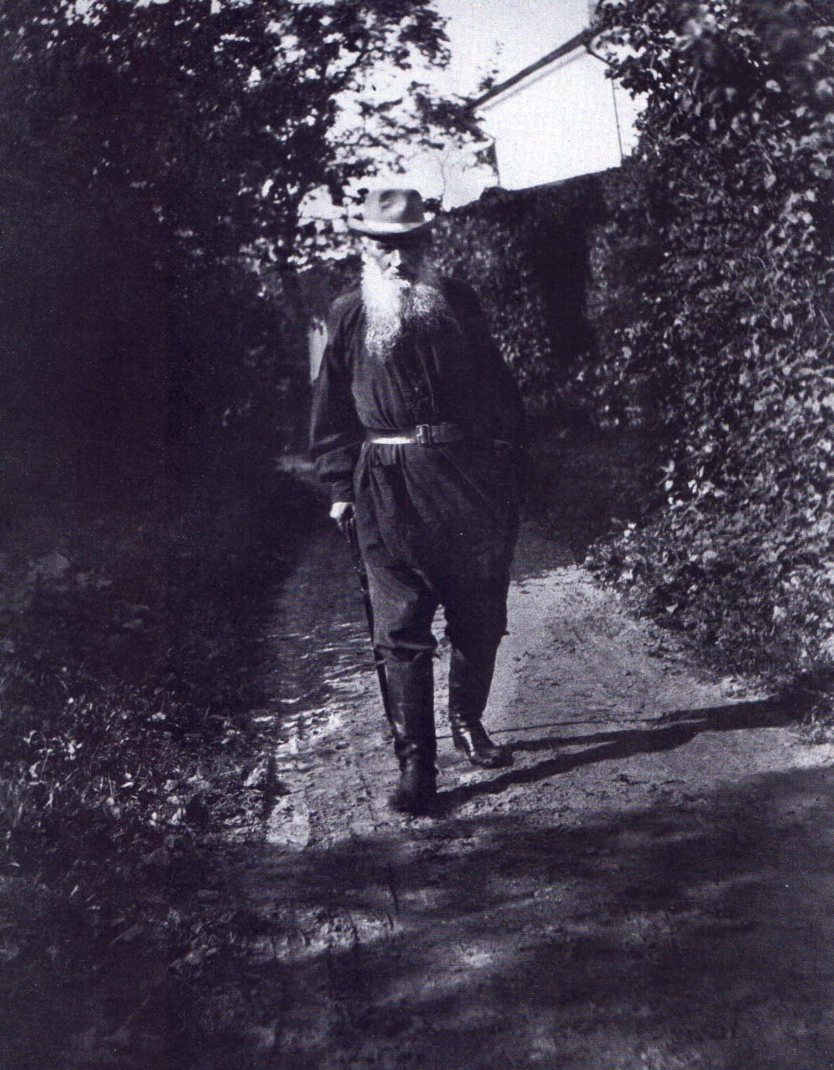 Л.Н. Толстой идет по аллее «Прешпект». Ясная Поляна. Фотография А.Л. Толстой. 1903 г.