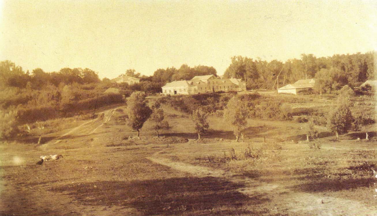 Общий вид усадьбы Ясная Поляна со стороны деревни. Фотография С.А. Толстой. 1897 г.