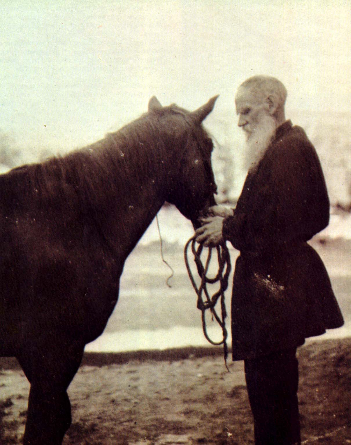 Л.Н. Толстой. Ясная Поляна. Фотография П.В. Преображенского. 1898 г.